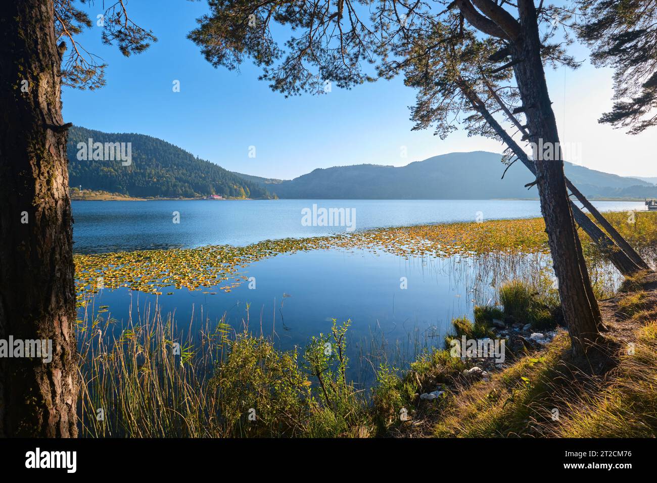Bolu, Türkei - 16. Oktober 2023: Blick auf den Abant Lake. Landschaft des Sees und Gebirgszuges bedeckt von Kiefern im Abant National Park Stockfoto