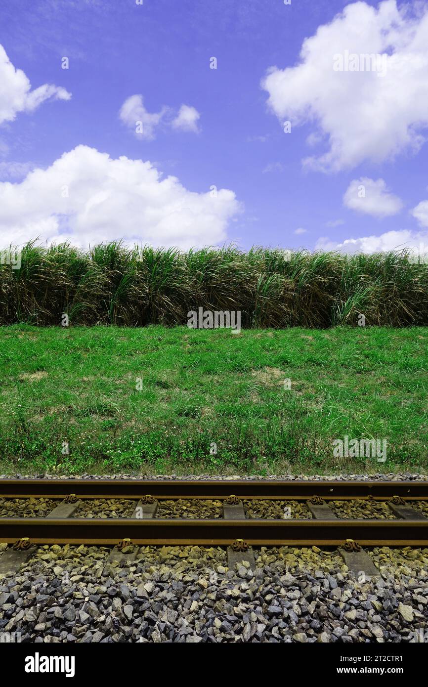 Eisenbahnstrecke, die an einem Zuckerrohrfeld in Garradunga in der Nähe von Innisfail, Queensland, Australien, vorbeiführt. Keine PR Stockfoto