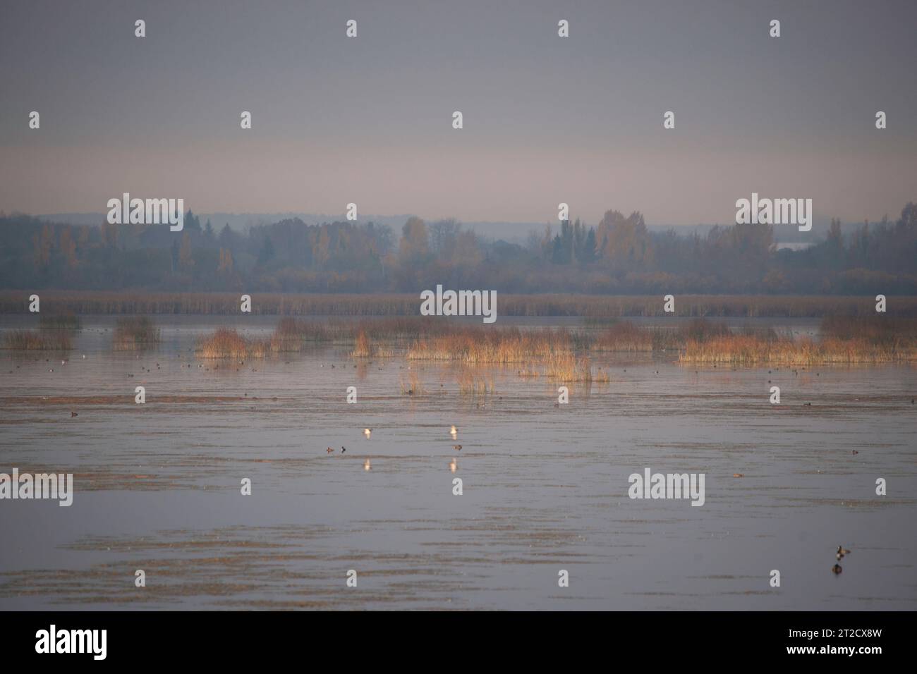 Lois-Bohrung Stockfoto