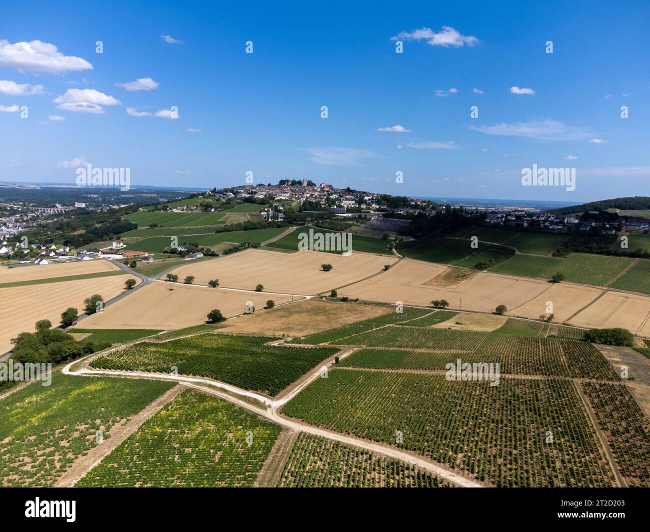 Weinberge der Appellation Sancerre, Herstellung von trockenem Weißwein aus der traube sauvignon Blanc, die auf Hügeln am linken Ufer des Flusses Loire auf differen angebaut wird Stockfoto