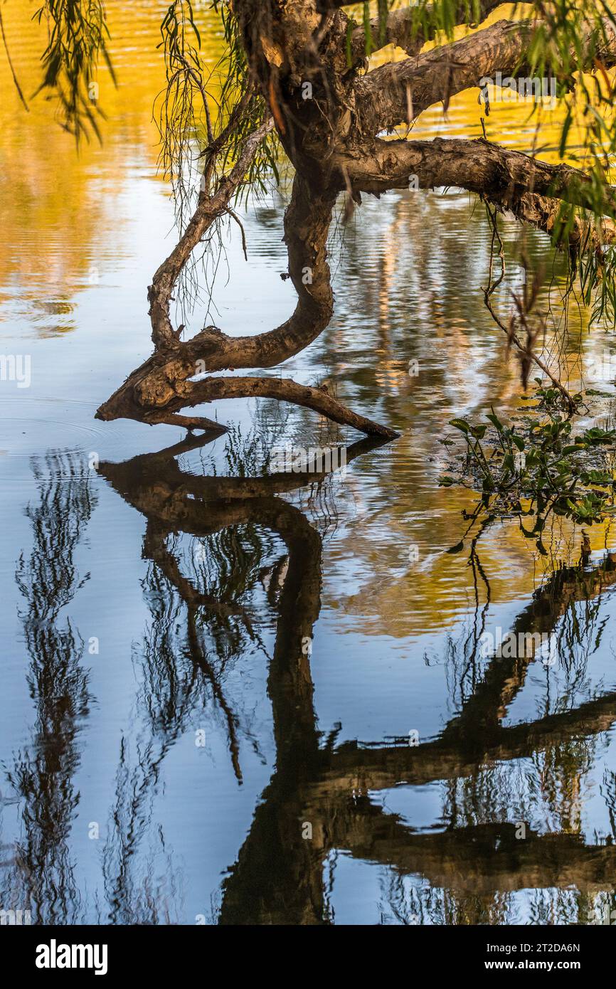 Ross River in Townsville, North Queensland, QLD, Australien Stockfoto