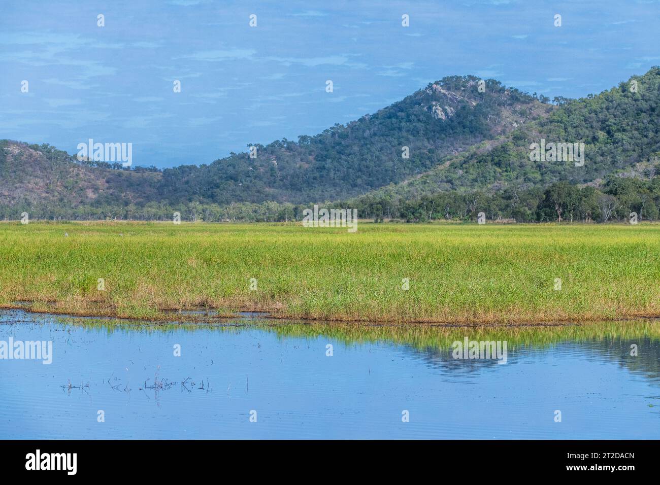 Townsville Stadt gemeinsame Conservation Park, Pallarenda, QLD, Australien Stockfoto