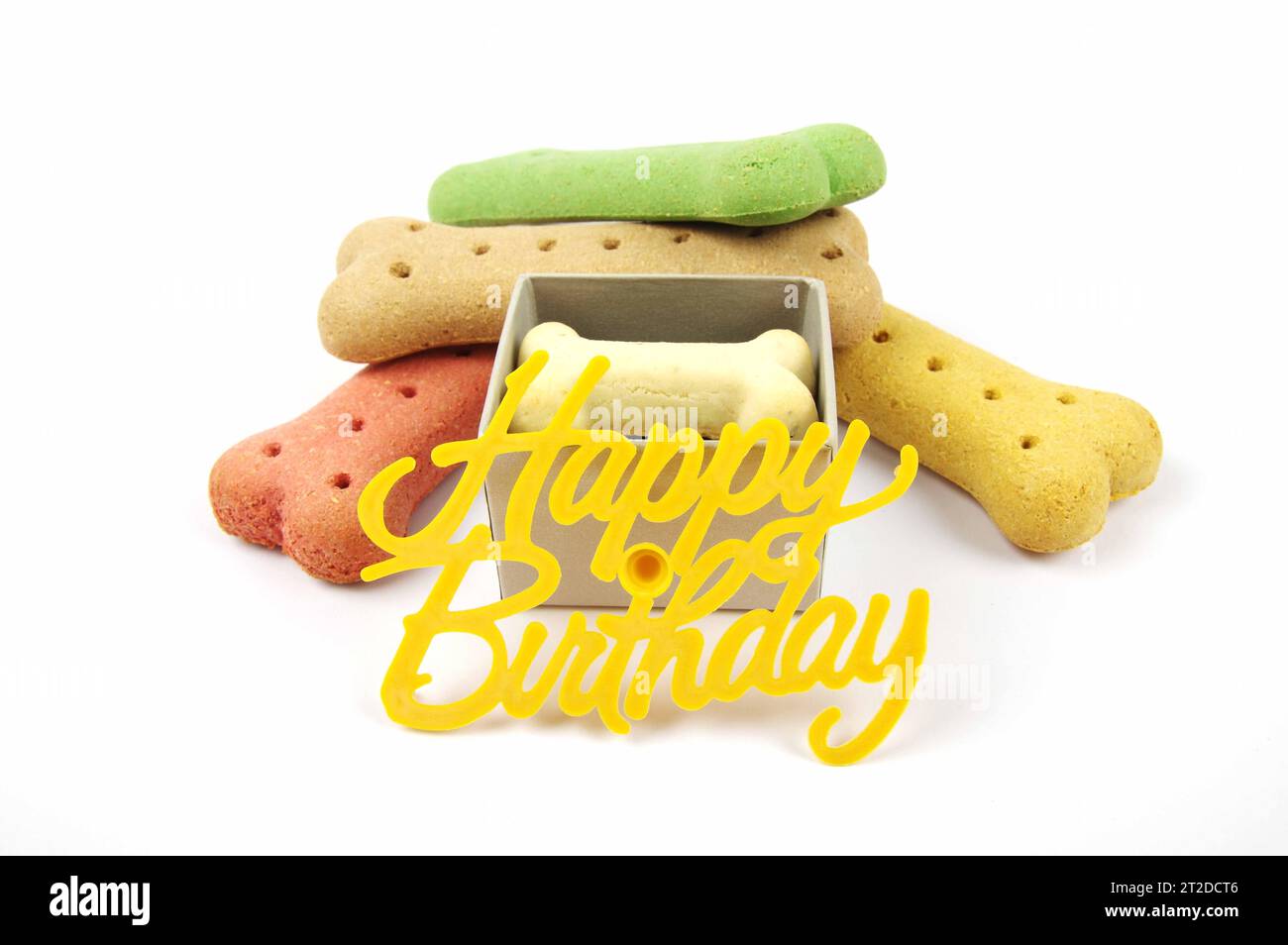 Geburtstagshund Leckereien mit einer Präsentationsbox und einem Happy Birthday Schild auf weißem Hintergrund Stockfoto