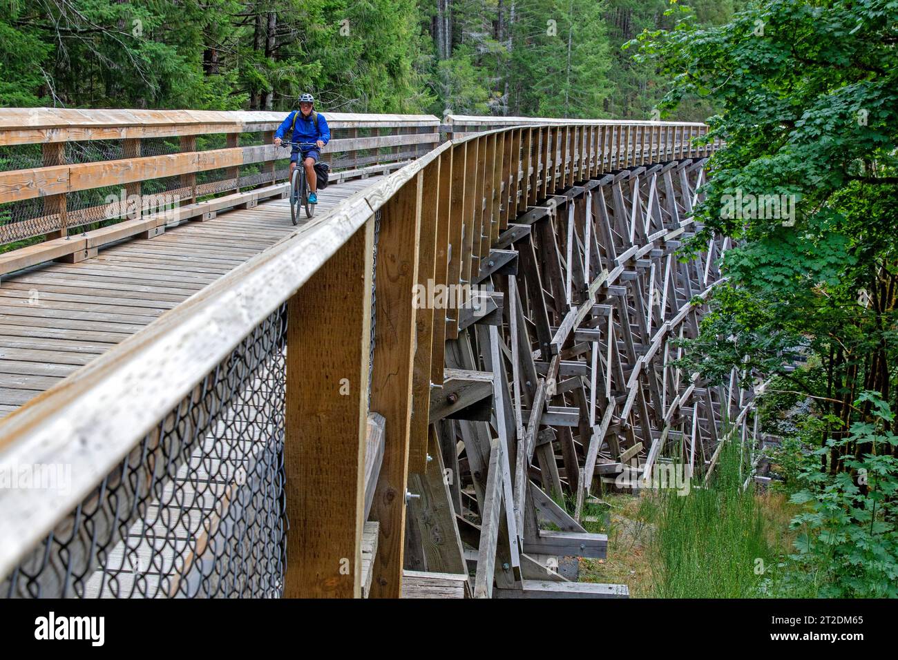 Radeln Sie über eine Trestle Bridge auf dem Galloping Goose Trail im Sooke Potholes Regional Park Stockfoto