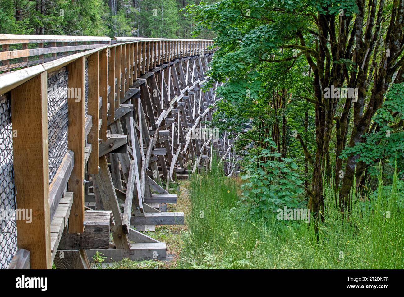Trestle Bridge auf dem Galloping Goose Trail, Sooke Potholes Regional Park Stockfoto