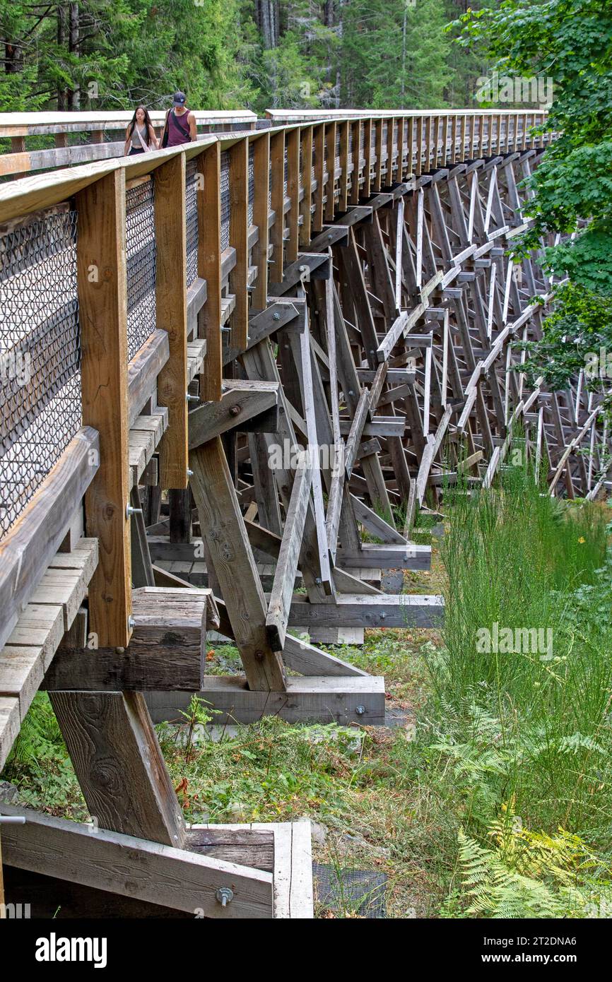 Trestle Bridge auf dem Galloping Goose Trail, Sooke Potholes Regional Park Stockfoto