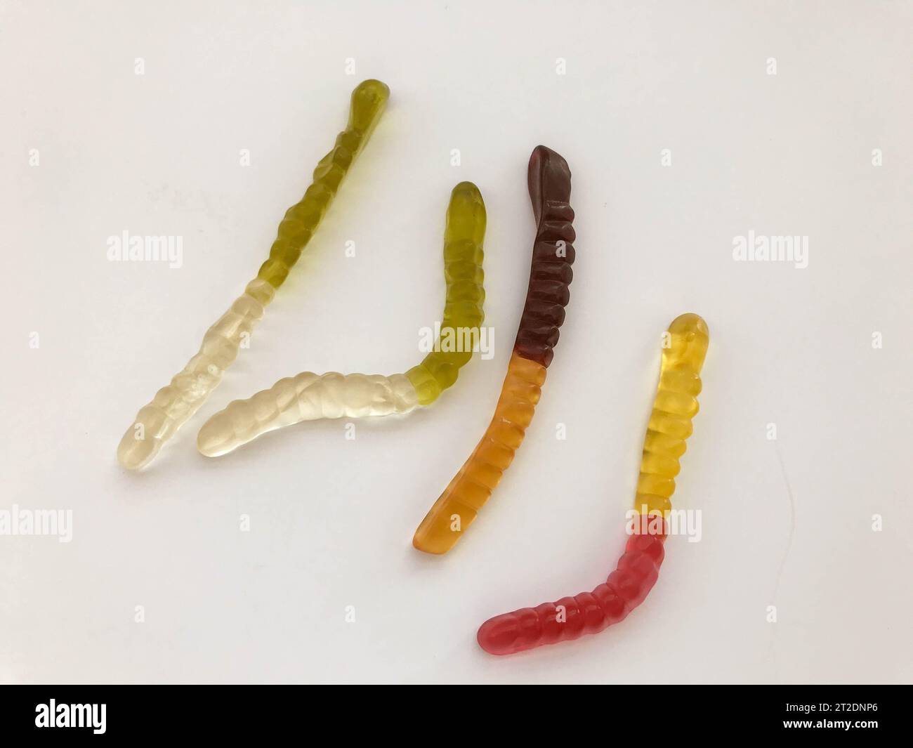 Marmeladenwürmer. Gelatinöse Würmer, mehrfarbig. Weiß-grüner und gelb-brauner Wurm krabbeln auf weißem mattem Hintergrund zusammen. Stockfoto