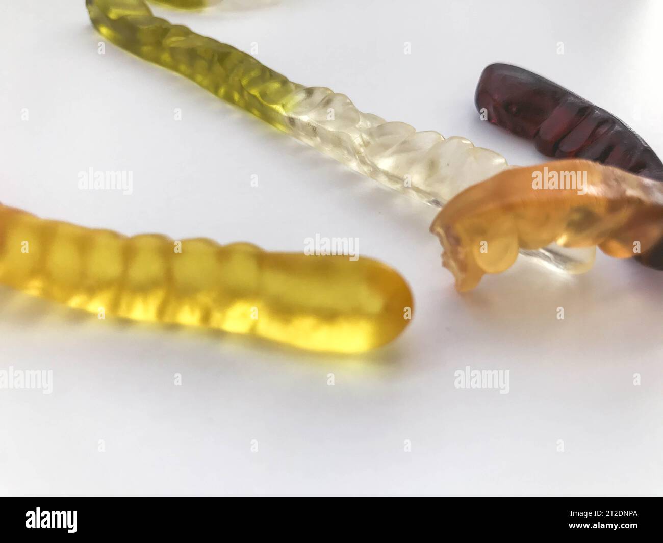 Gummiwürmer. Gelatinewürmer, kalorienreiche und köstliche Desserts. Köstliche Süßigkeiten auf weißem mattem Hintergrund. Helle Würmer. Gammi. Leckere Gummigummis Stockfoto