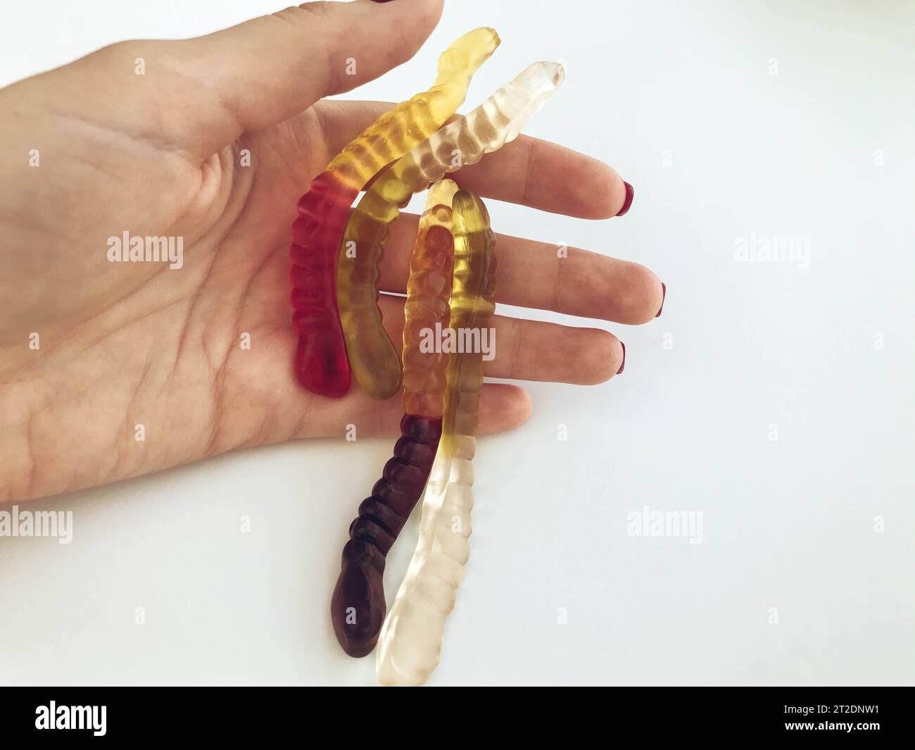 Lange, mundtränende, mehrfarbige Würmer liegen mit einer knallroten Maniküre auf der Hand des Mädchens. Köstliche Süßigkeiten, süßes Dessert. Handgemachte Marmelade. Stockfoto
