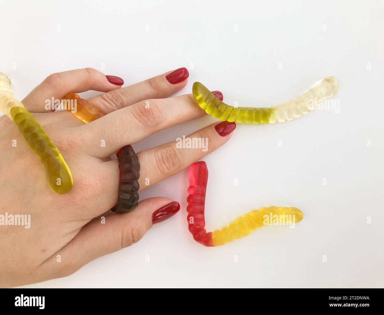 Lange, mundtränende, mehrfarbige Würmer liegen mit einer knallroten Maniküre auf der Hand des Mädchens. Grüne, gelbe, braune und transparente Zuckerwürmer kriechen alle Stockfoto