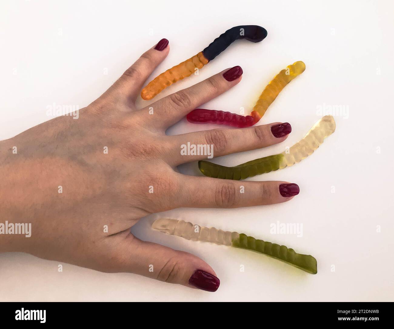 Lange, mundtränende, mehrfarbige Würmer auf der Hand eines Mädchens mit einer hellroten Maniküre. Die Würmer liegen zwischen den Fingern. Ungewöhnliche kreative Shooti Stockfoto