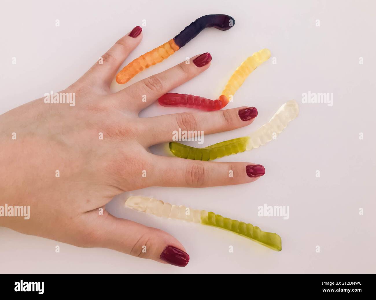 Lange, mundtränende, mehrfarbige Würmer auf der Hand eines Mädchens mit einer hellroten Maniküre. Die Würmer liegen zwischen den Fingern. Kreative Aufnahmen von br Stockfoto