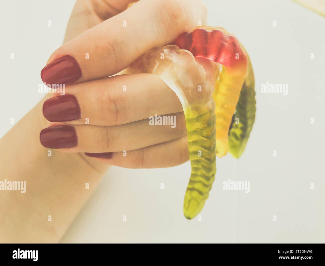 Lange, mundtränende, mehrfarbige Würmer auf der Hand eines Mädchens mit einer hellroten Maniküre. Die Würmer liegen auf den Fingern. Sperrige, strukturelle Würmer, Rippe Stockfoto
