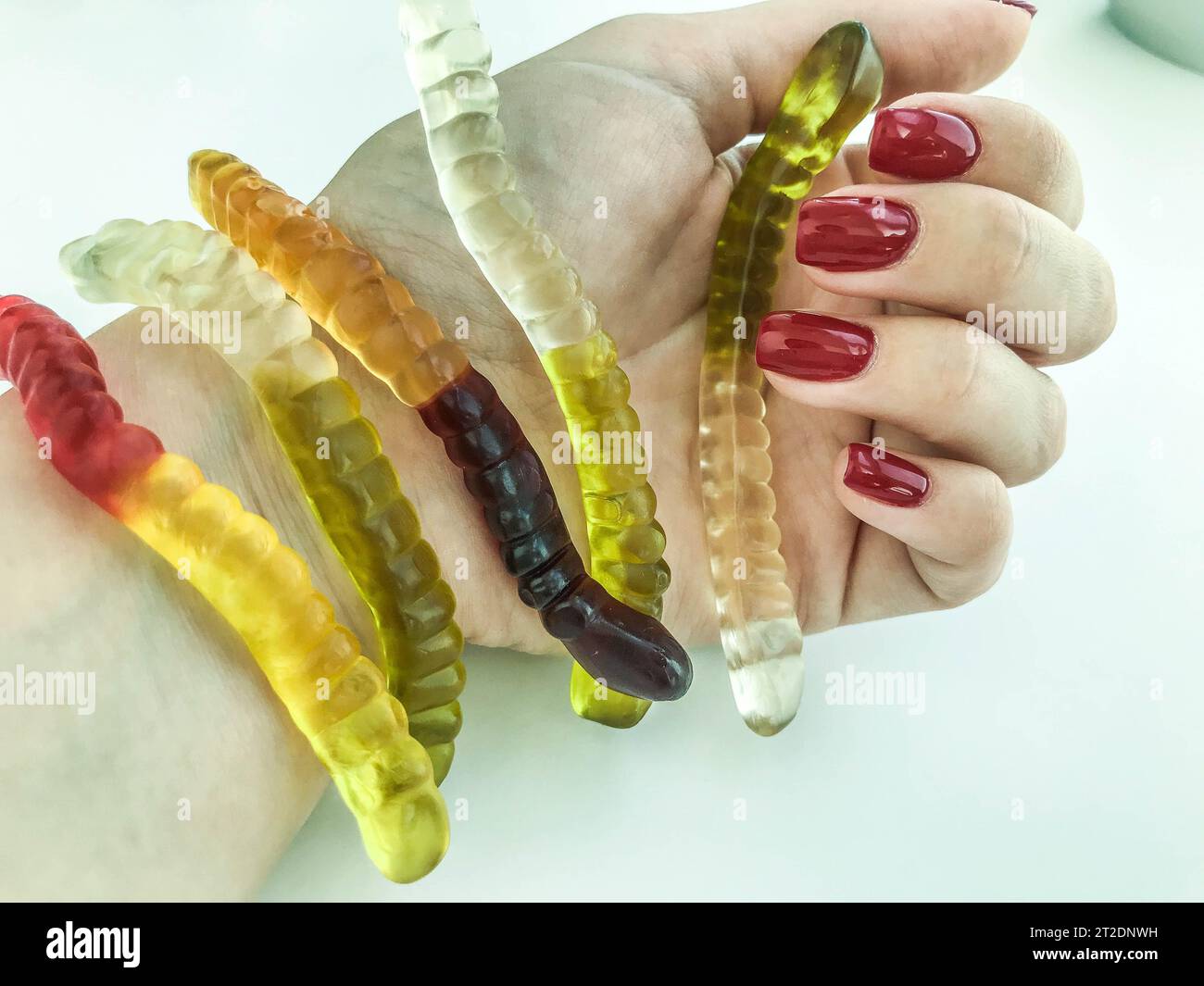 Viele Gummiwürmer liegen auf der Hand des Mädchens. Helle, rote, glänzende Maniküre. Gelatinöse Würmer liegen in Ihrer Handfläche. Süßes Dessert, Hand eines Pas Stockfoto