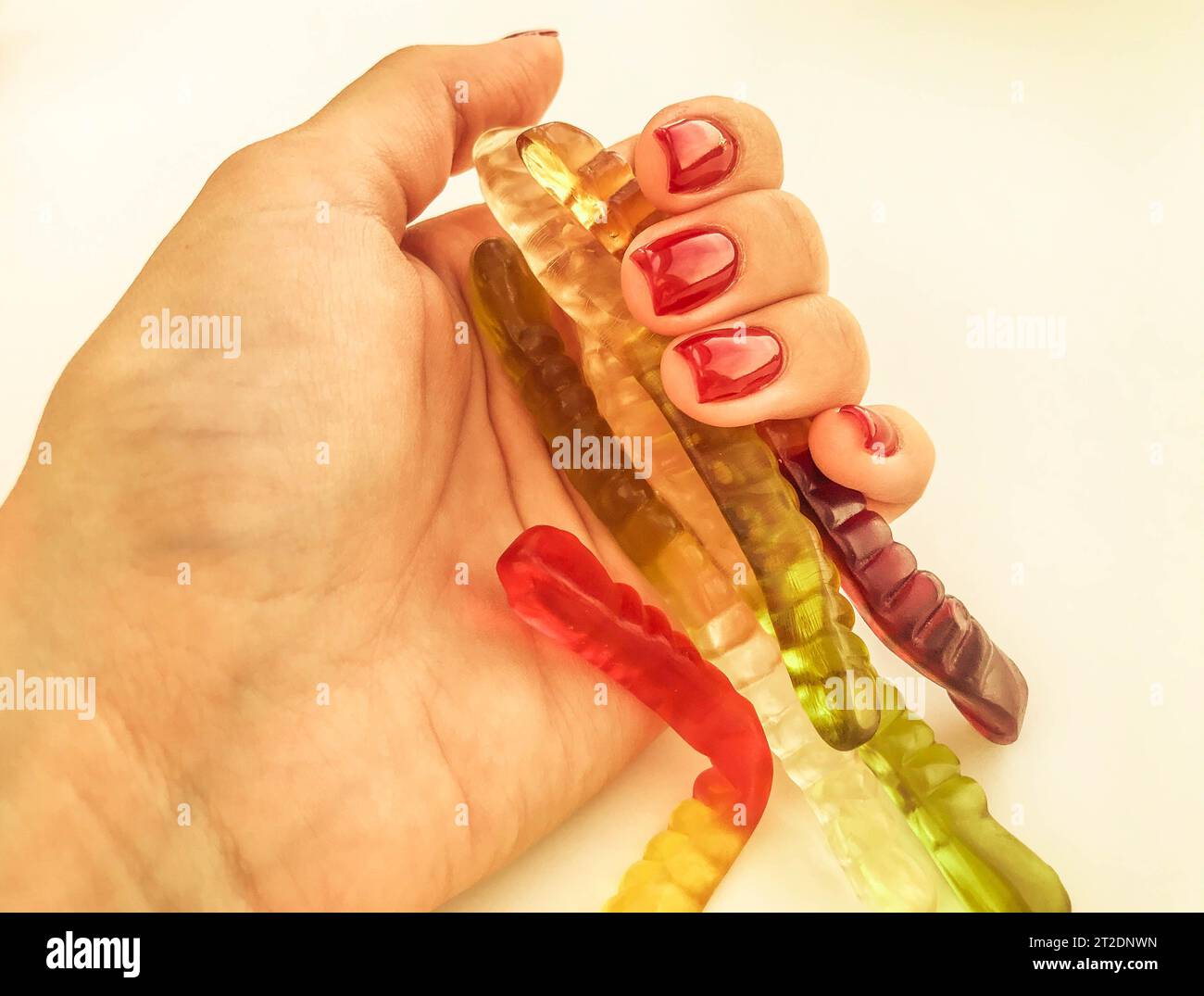 Viele Gummiwürmer liegen auf der Hand des Mädchens. Helle, rote, glänzende Maniküre auf orangefarbenem, mattem Hintergrund. Gelatinöse Würmer liegen in Ihrer Handfläche Stockfoto