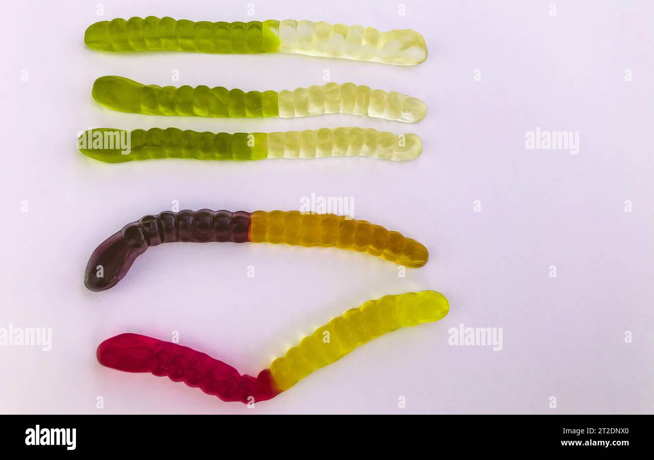 Gummiwürmer liegen auf weißem, mattem Hintergrund. Helle, mundtränende gelatinöse Würmer unterschiedlicher Farben. Würmer werden in Reihen gestapelt, laut colo Stockfoto