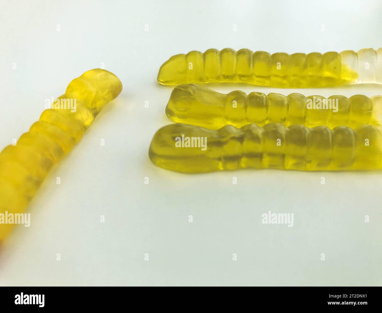 Gummiwürmer liegen auf weißem, mattem Hintergrund. Helle, appetitlich grüne gelatinöse Würmer. Trick or Treat, halloween-Süßigkeiten. Behandlung von Kindern während der Stockfoto