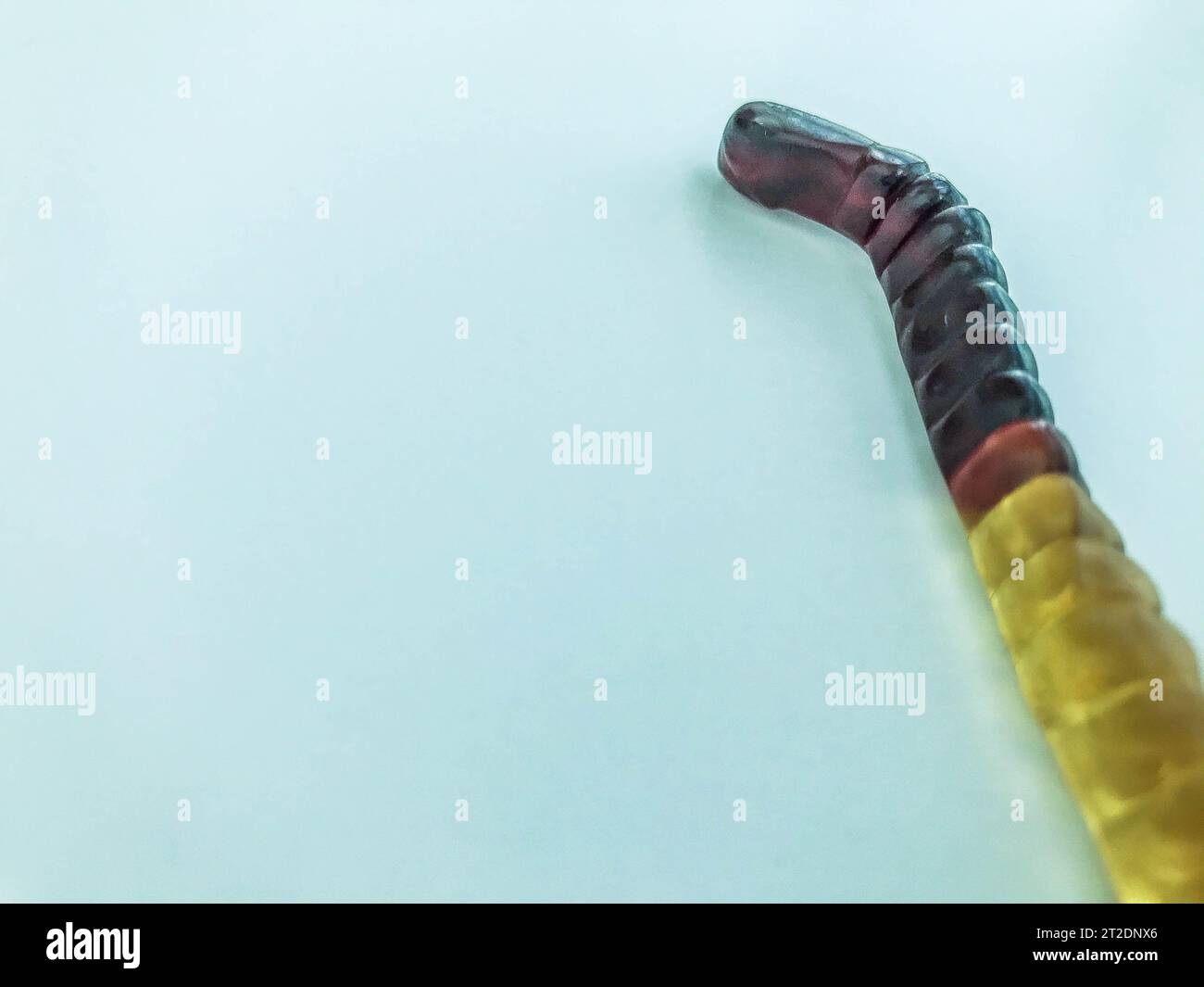 Gummiwürmer liegen auf einem weißen, blau matten Hintergrund. Helle, mundtränende gelatinöse Würmer von bräunlich-gelber Farbe. Köstliche Süßigkeiten. Behandlung ch Stockfoto