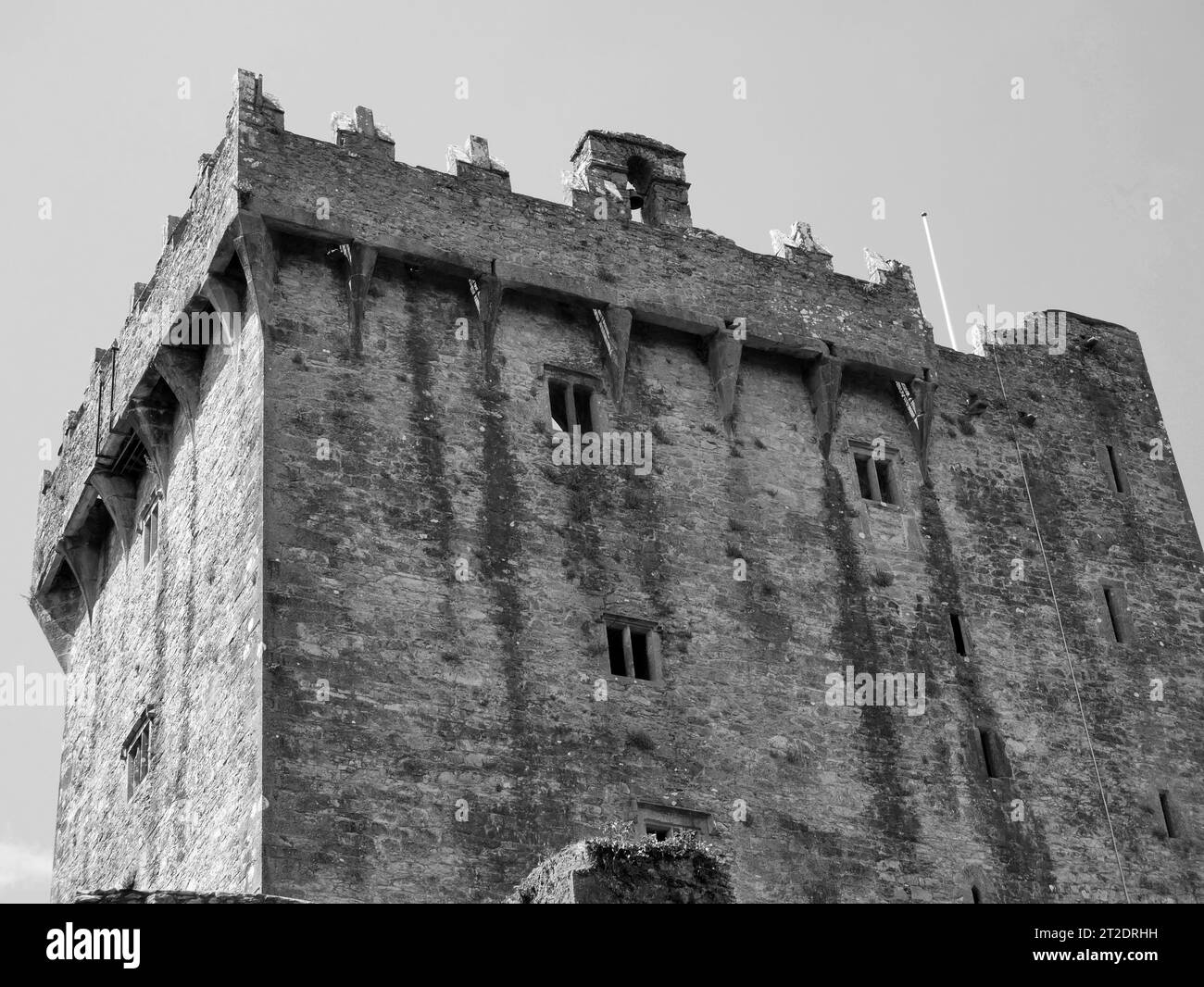 Alter keltischer Burgturm, Blarney-Burg in Irland, alte keltische Festung Stockfoto