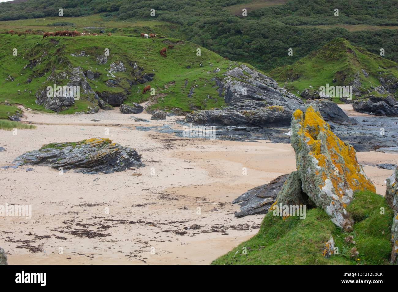 Spektakuläre Schluchten, Bögen und Seestapel prägen die Küste zwischen Kintra und Port Alsaig auf Islay. Stockfoto