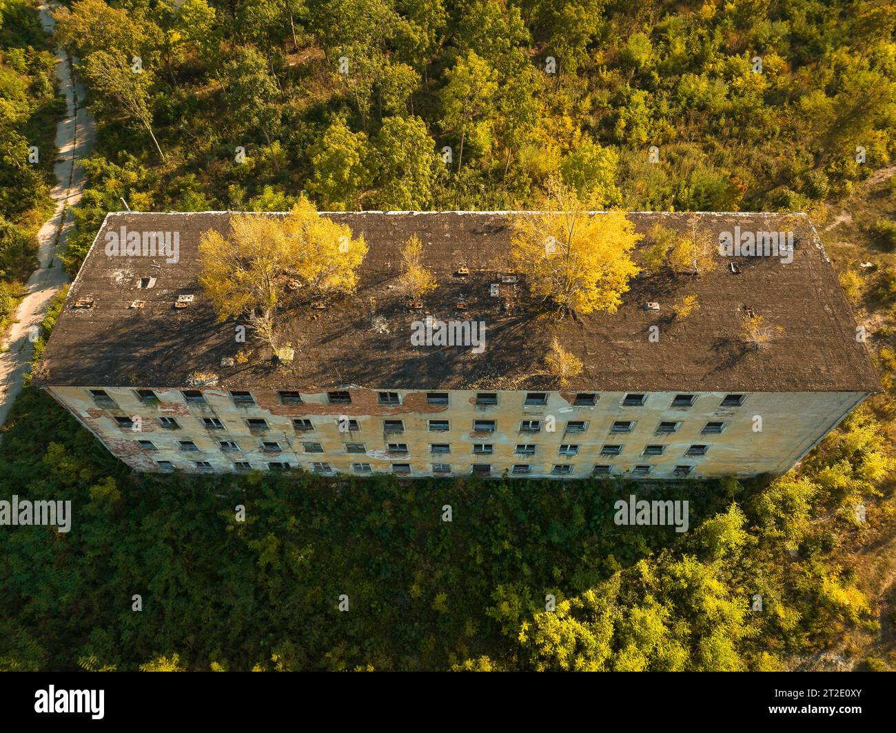 Verlassene Wohngegend und Gebäude. Sieht aus wie die Geisterstadt Pripyat, Tschernobyl-Zone, Ukraine. Die Leute haben diesen Ort vor langer Zeit verlassen. Haus Stockfoto