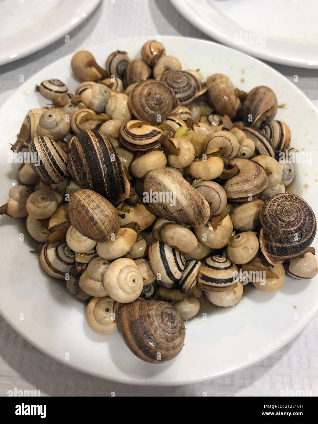 Teller gefüllt mit kleinen gekochten Schnecken Stockfoto