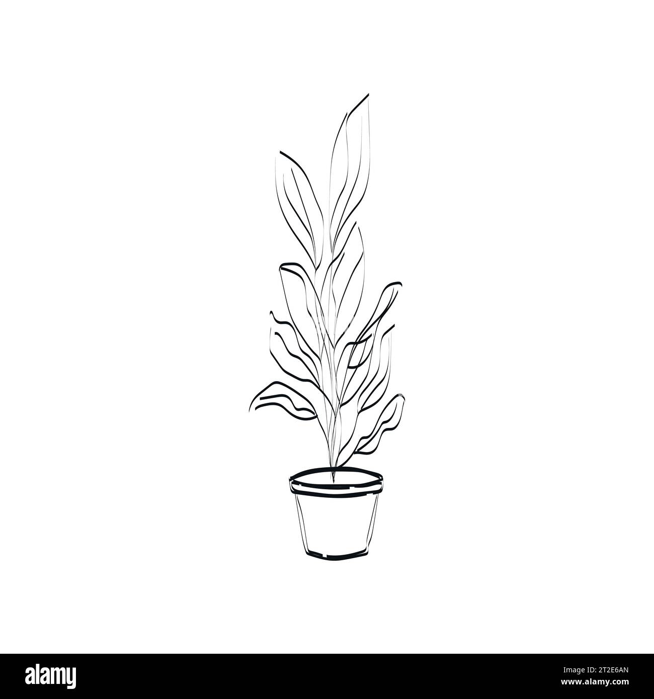 Ficus Blume, Pflanze in den Topf. Durchgehende Linienzeichnung. Vektorillustration, Konzept für Logo, Etikett, Symbol, Karte, Banner, Poster, Flyer Stock Vektor