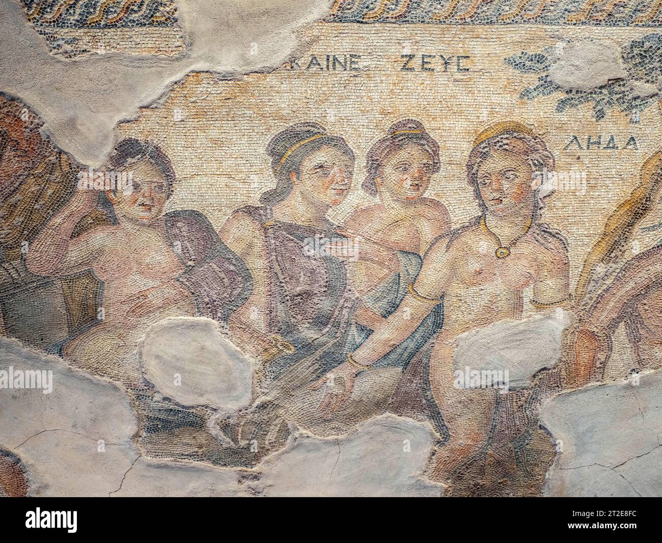 Mosaikwand im Saal des Haus des Aion, archäologischen Stätte von Kato Paphos, Paphos (Pafos), Pafos Bezirk, Republik Zypern Stockfoto
