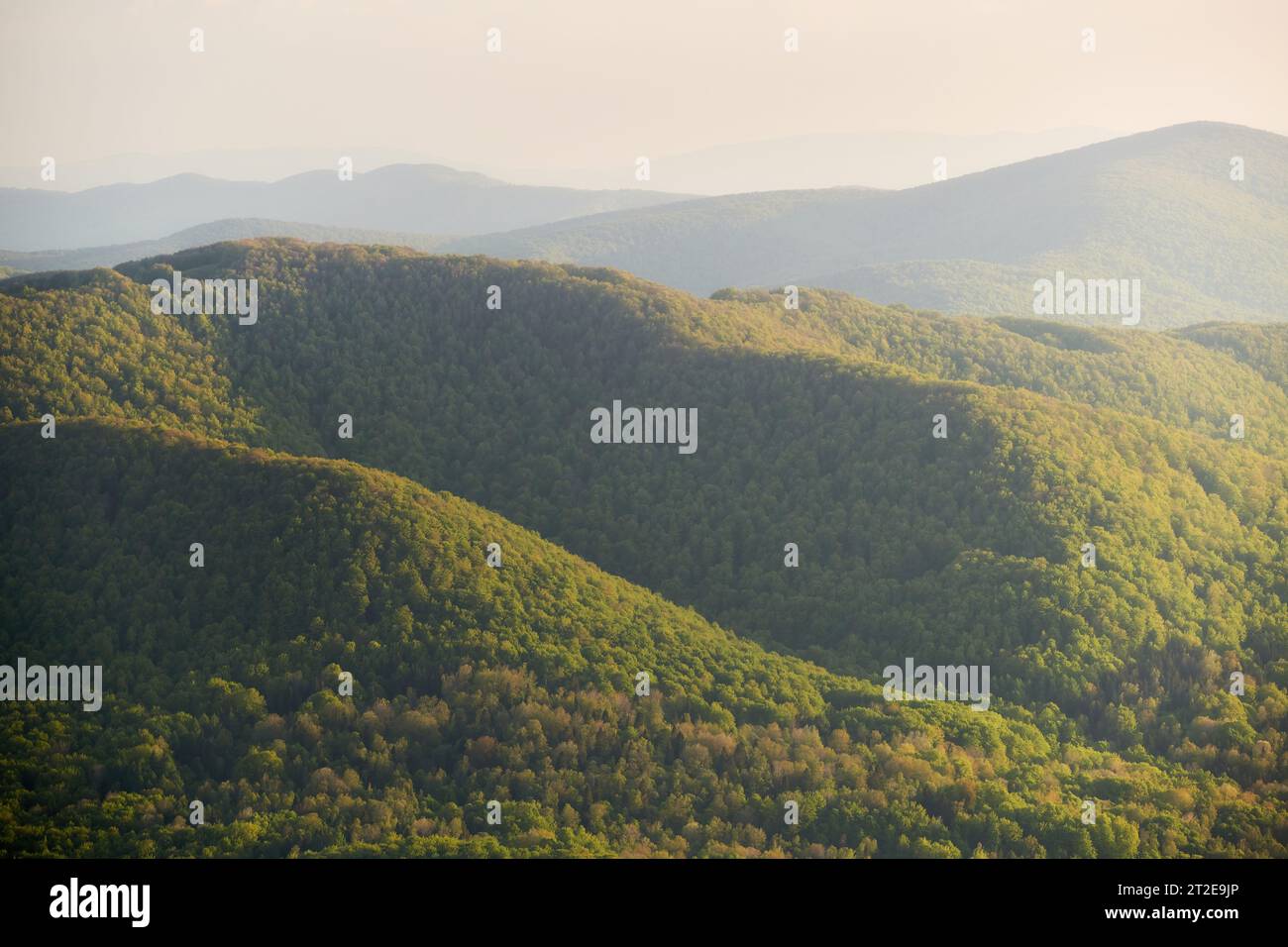 Lebendige Herbstlandschaft: Schönheit der Natur in ländlicher Wildnis Stockfoto