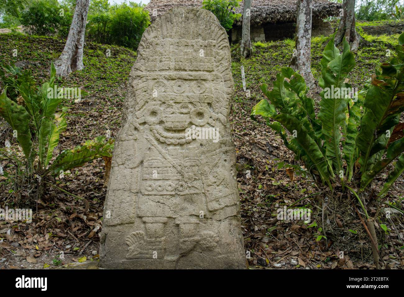 Stele 11 auf Plaza B in den Maya-Ruinen im Yaxha-Nakun-Naranjo Nationalpark, Guatemala. Stockfoto