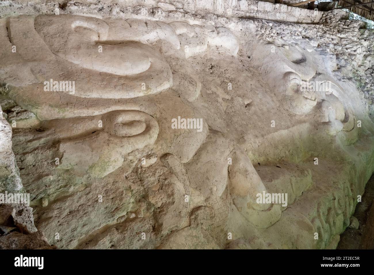 Stuckfries auf dem Gebäude 136 in der Nordakropolis in den Maya-Ruinen im Yaxha-Nakun-Naranjo-Nationalpark, Guatemala. Stockfoto