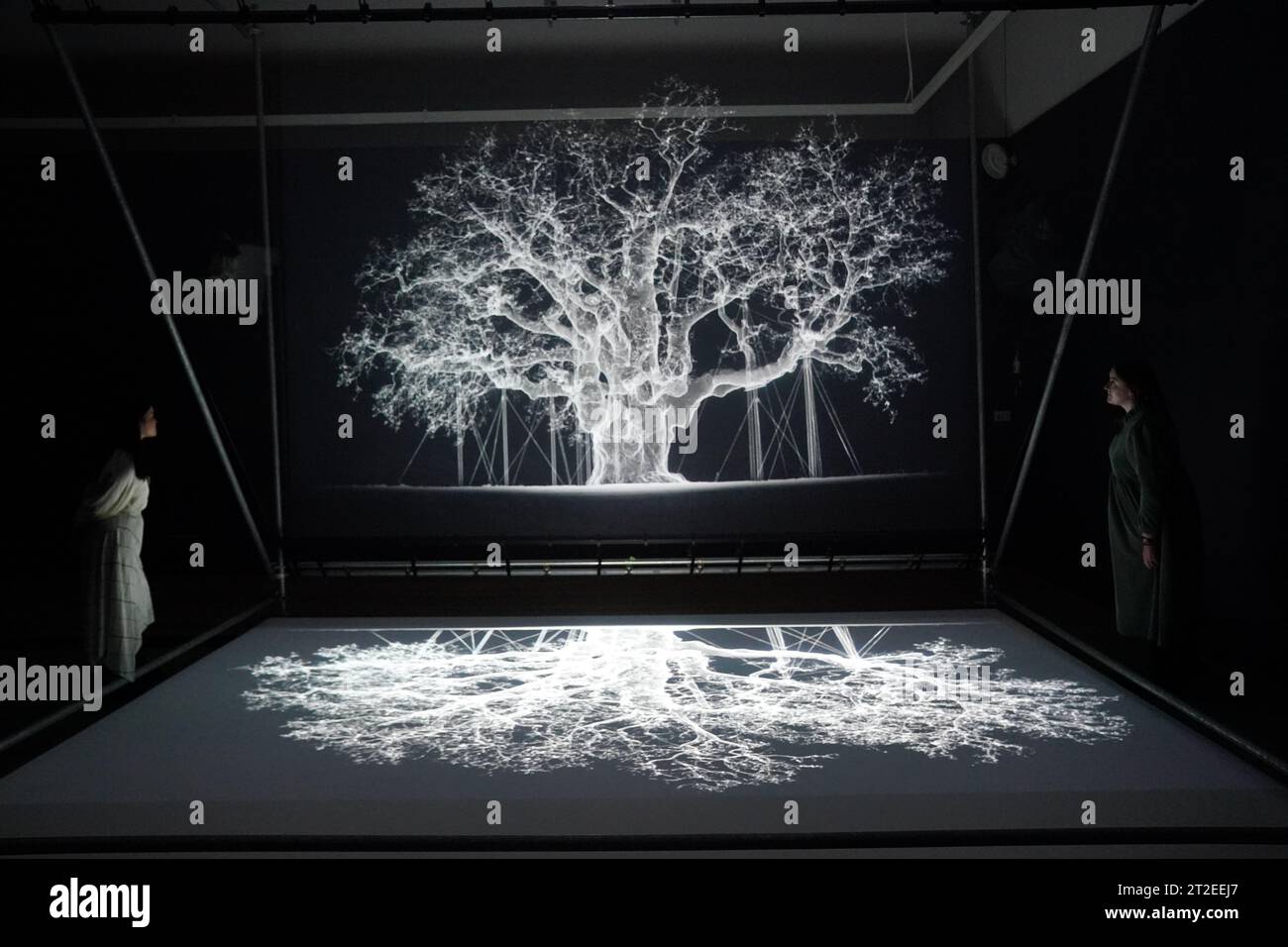 Galerie-Assistenten sehen sich Albion, eine Darstellung der großen Eiche im Sherwood Forest, während einer Vorschau von Petrichor, einer neuen Ausstellung des Künstlers Mat Collishaw in der Shirley Sherwood Gallery of Botanical Art in den Royal Botanic Gardens, Kew, an. Bilddatum: Donnerstag, 19. Oktober 2023. Stockfoto