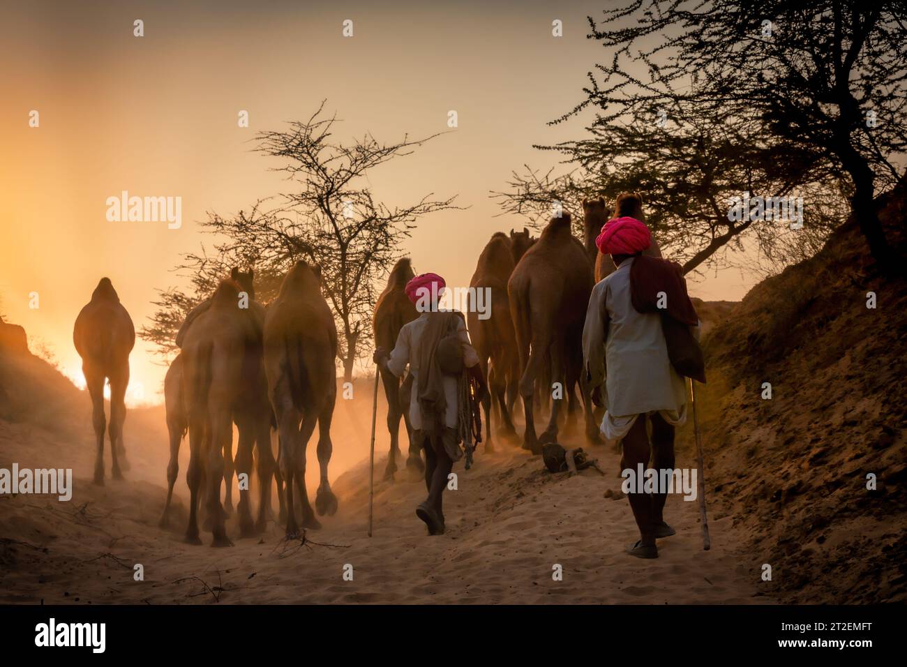 Pushkar, Rajasthan, Indien Stockfoto