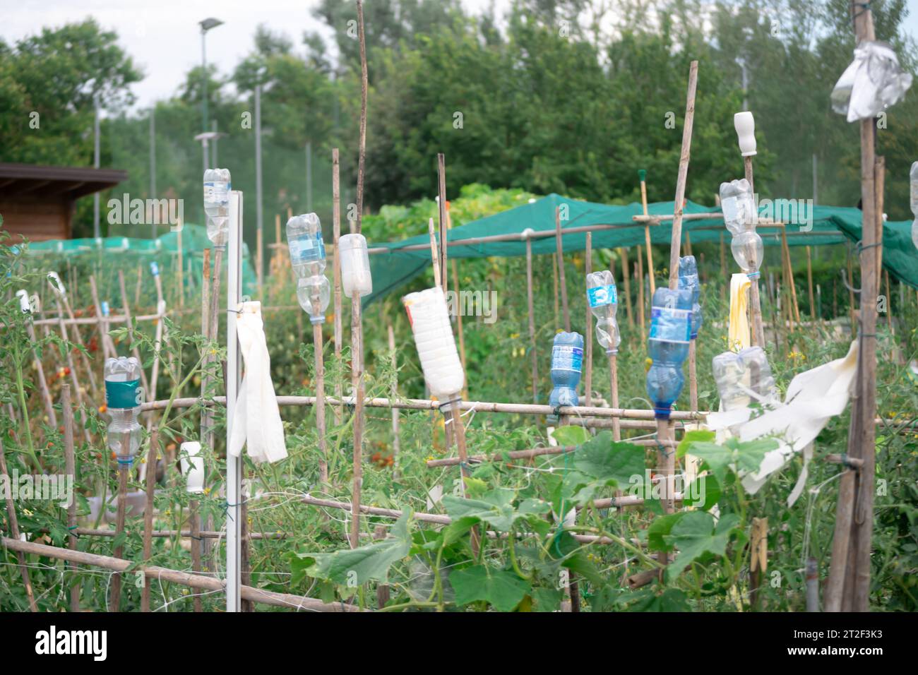 Plastikflaschen als Ideen für Recycling und ökologische Erziehung im häuslichen Leben Stockfoto