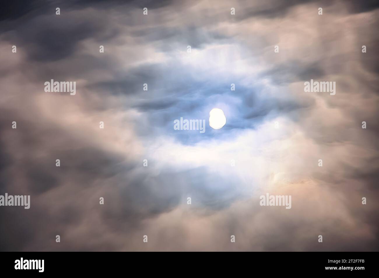 Reflexion im Wasser eines Teiches während der Morgenstunden, Toronto, Kanada Stockfoto