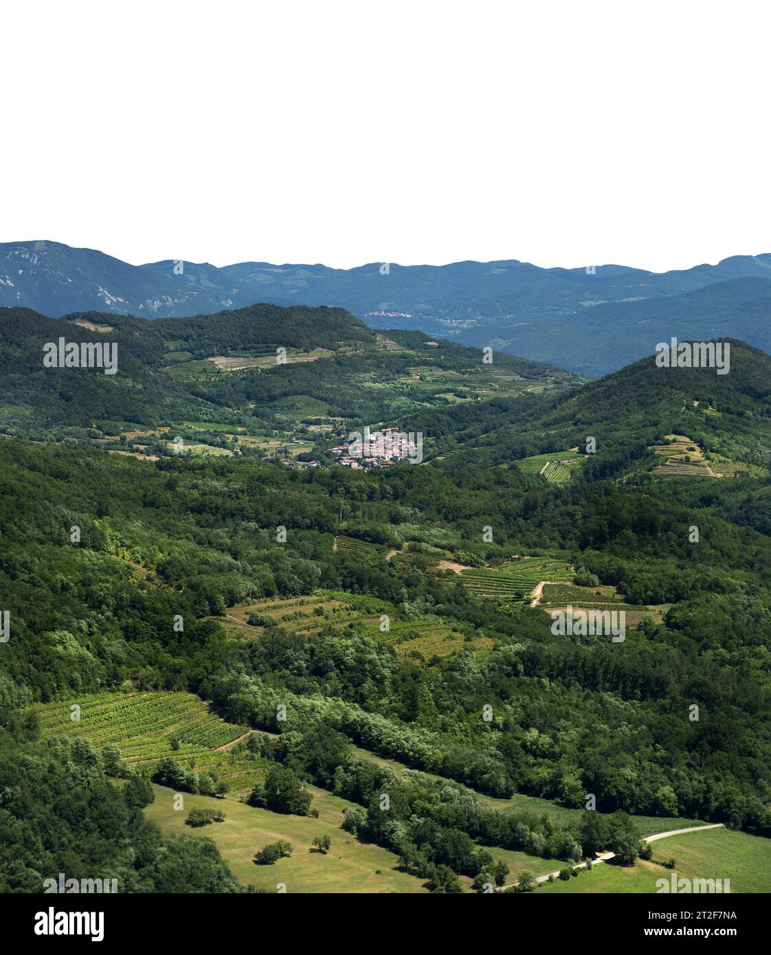 Panoramablick auf die Weinberge zwischen den Hügeln an einem Sommertag auf einem transparenten Hintergrund Stockfoto