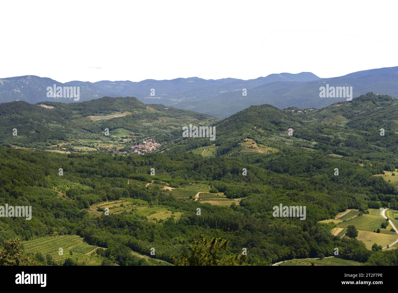 Panoramablick auf die Weinberge zwischen den Hügeln an einem Sommertag auf einem transparenten Hintergrund Stockfoto