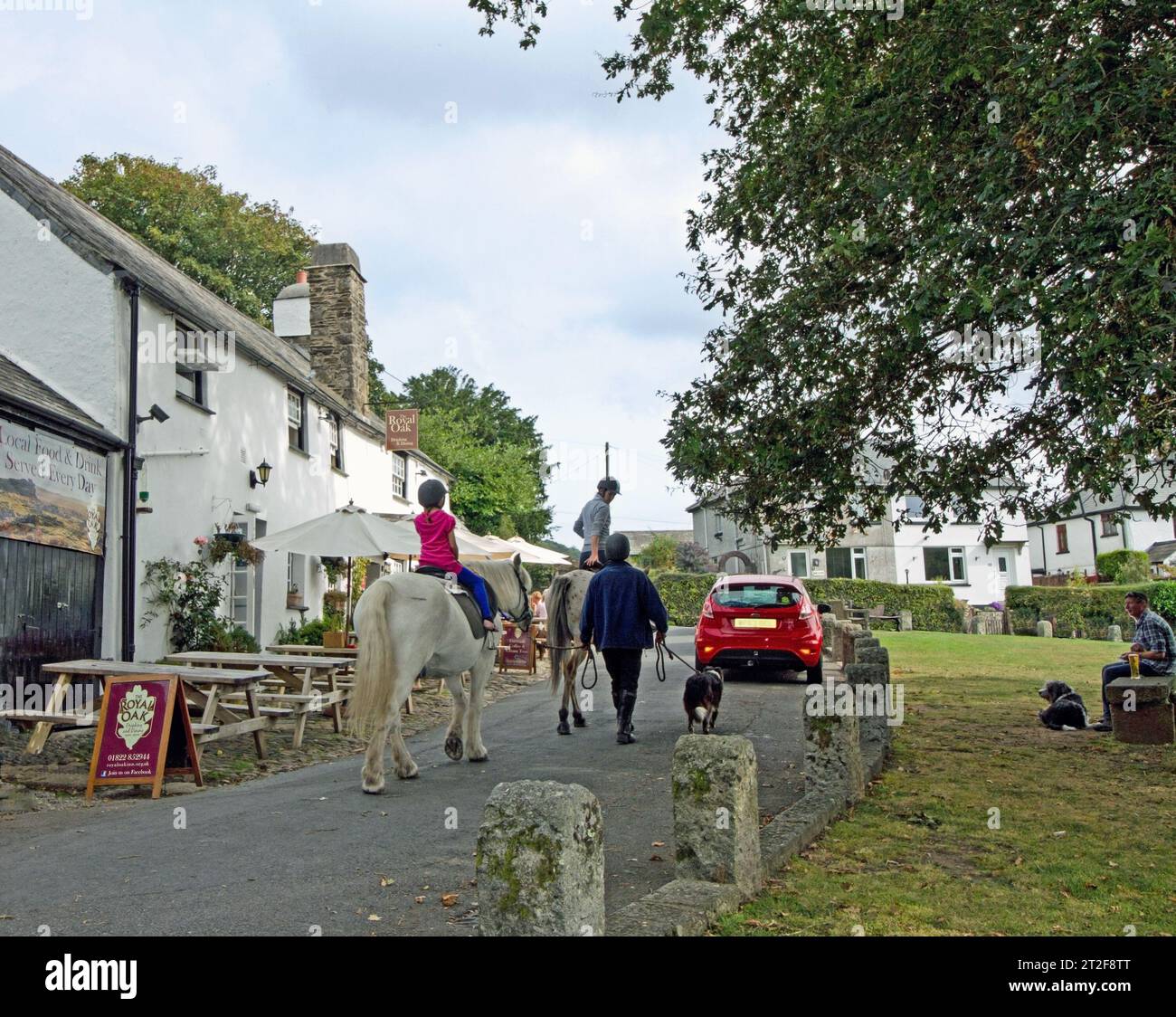 In den Nachrichten die Royal Oak aus dem späten 15. Jahrhundert in Meavy auf Dartmoor, wo die Lizenz erneuert werden soll. Der Rat versucht, Mindestöffnungszeiten vorzuschreiben Stockfoto