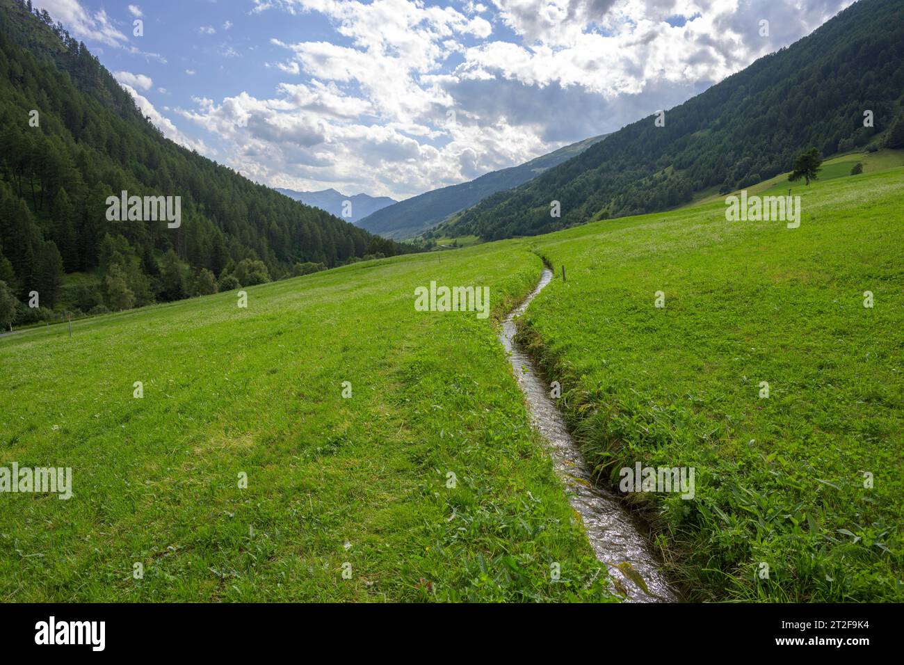 Ackerwaal, Matschertal, Mals, Südtirol, Italien Stockfoto