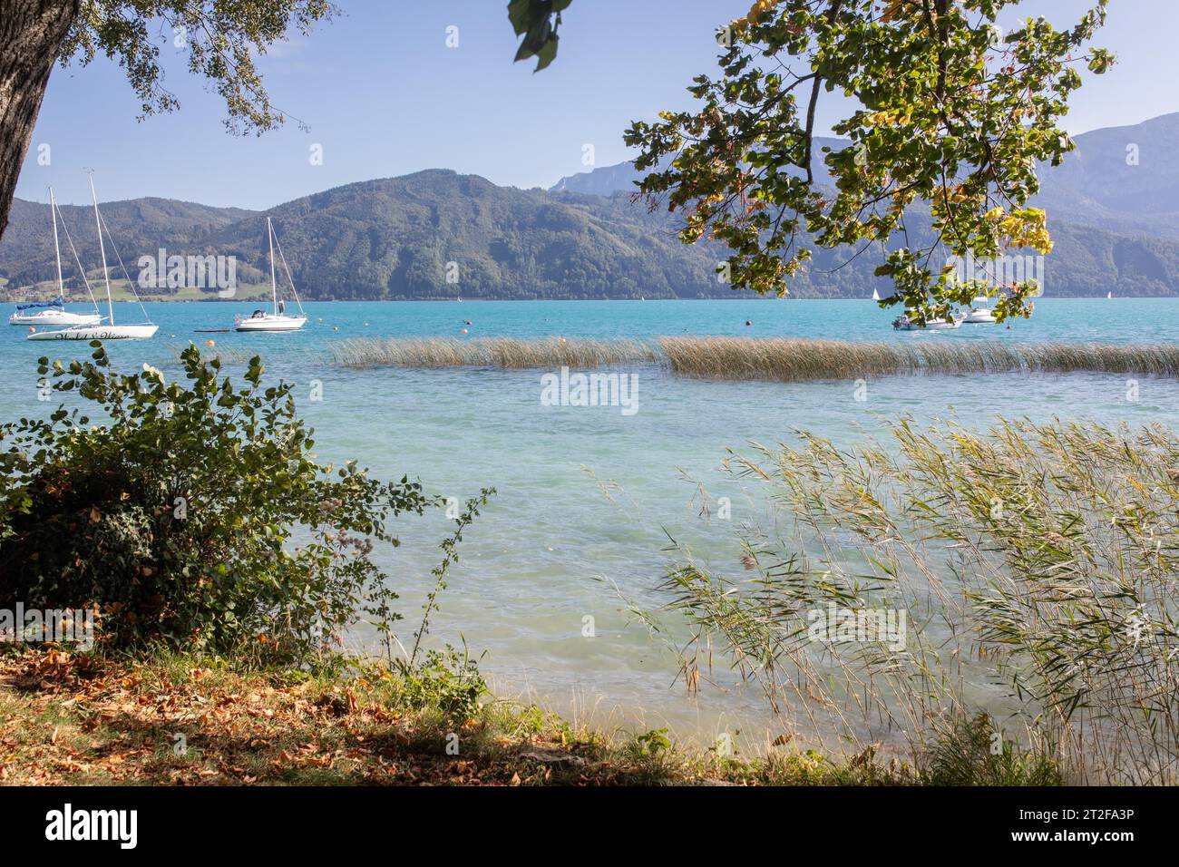 Attersee, Oberösterreich, Österreich Stockfoto