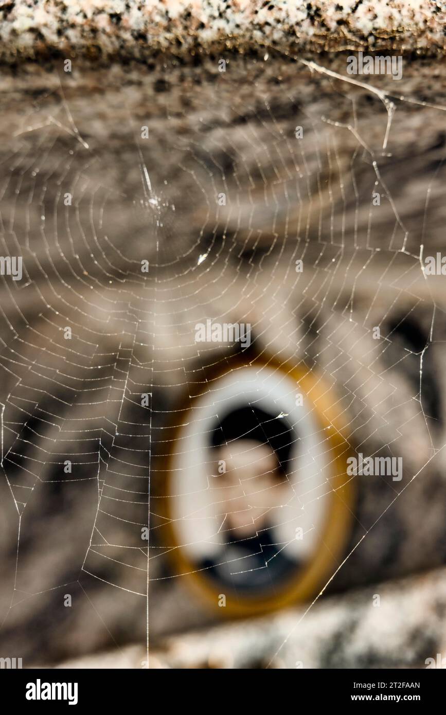 Spinnennetz auf einem Grabstein vor einem verschwommenen Foto Medailion des Verstorbenen auf einem Friedhof, Bari Sardo, Ogliastra, Sardinien, italien Stockfoto