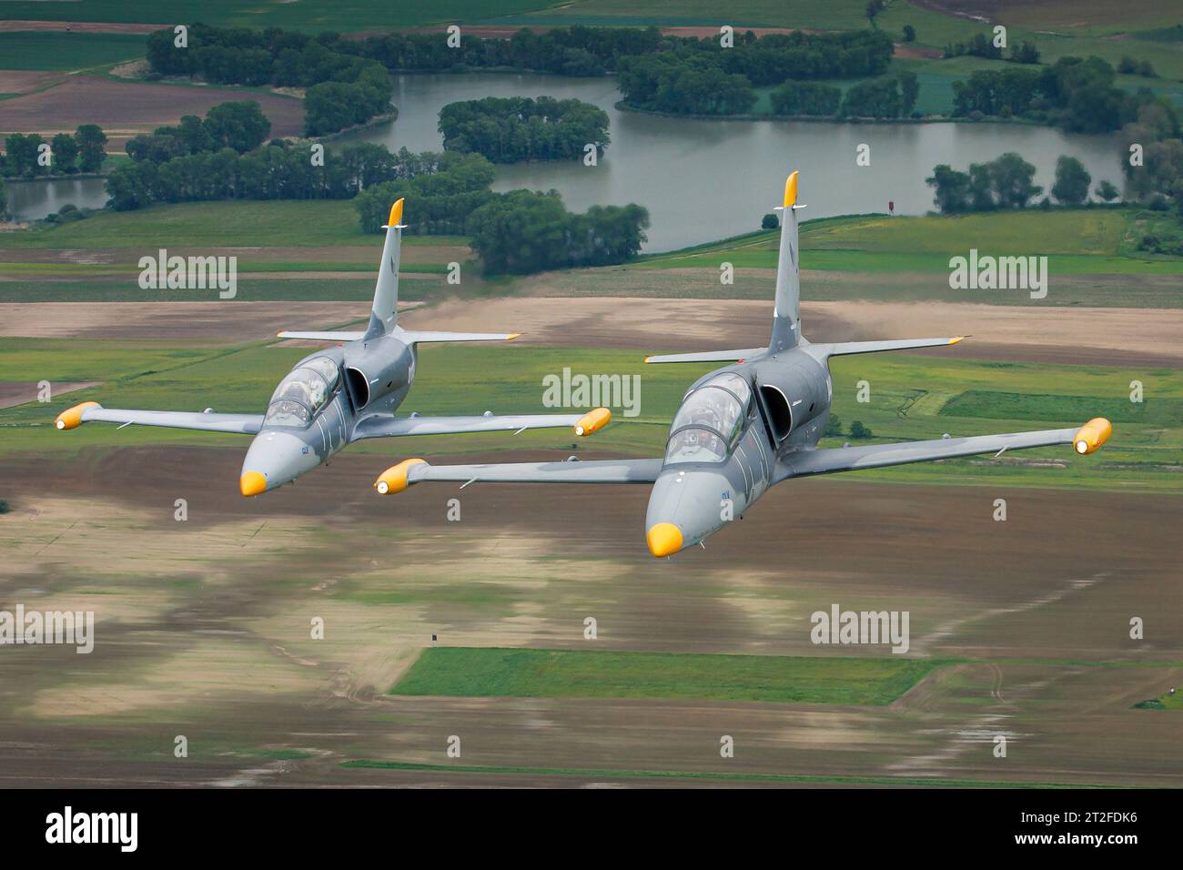 Ein Paar der tschechischen Luftwaffe L-39 Albatros Trainingsjets im Flug. Stockfoto