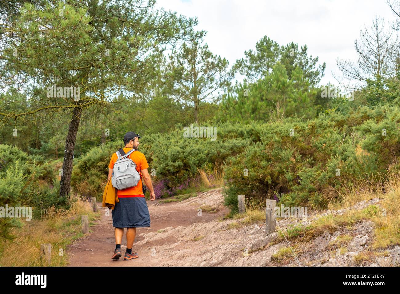 Ein junger Mann auf dem Fußweg im Wald von Broceliande, französischer mystischer Wald im Departement Ille-et-Vilaine, Bretagne, in der Nähe von Rennes. Frankreich Stockfoto