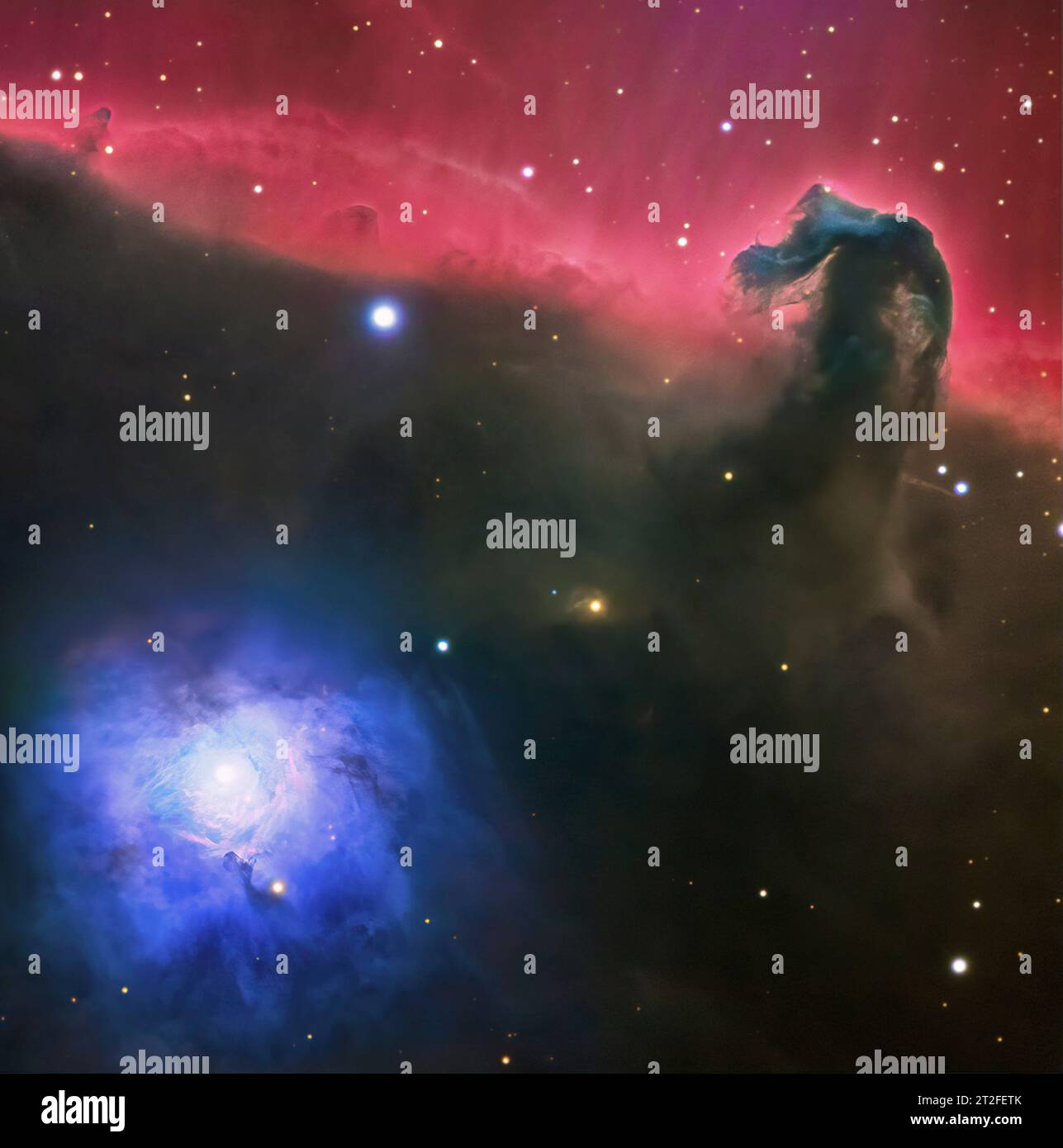 Barnard 33, der Horsehead-Nebel. Stockfoto