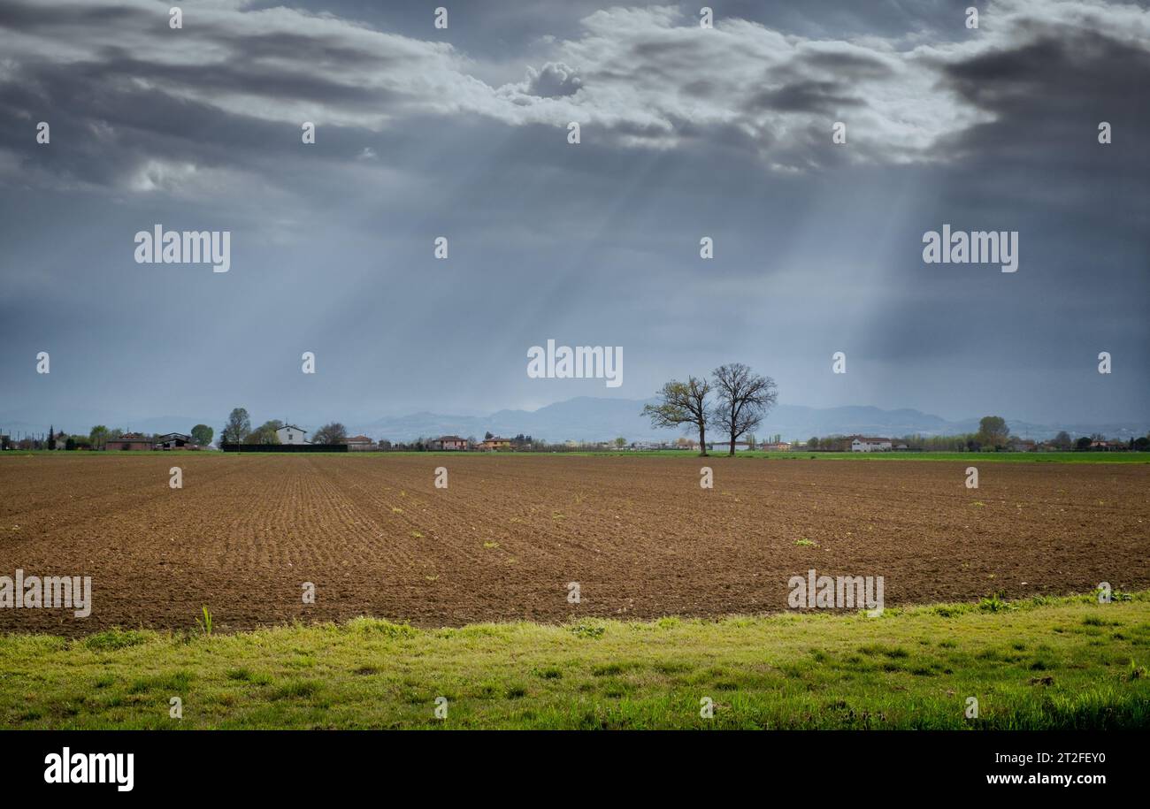 Sonnenstrahlen und bewölkter Himmel auf bewirtschaftetem Land im Potal. Provinz Bologna, Italien Stockfoto