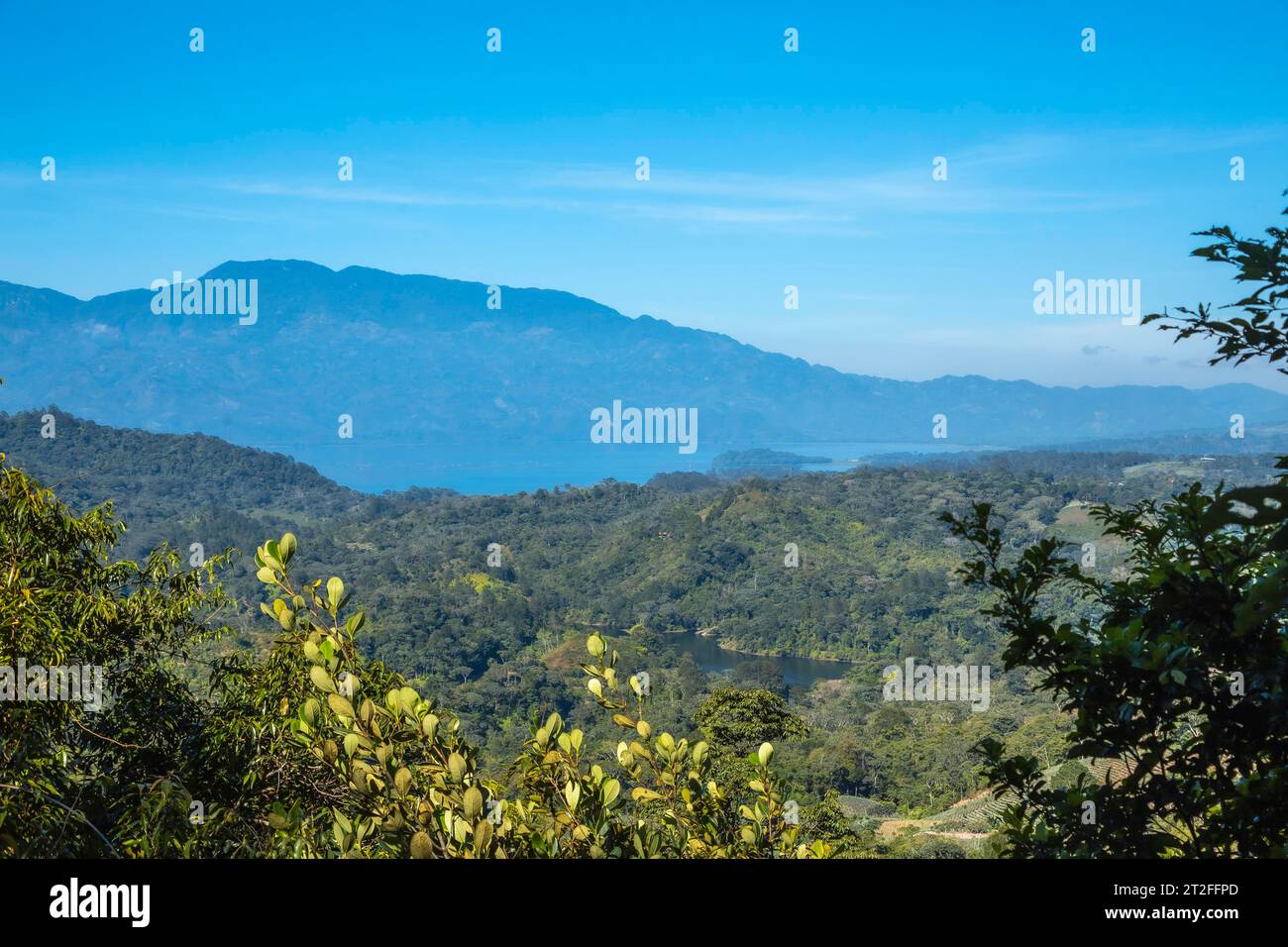Blick auf den See vom Mirador des Cerro Azul Meambar Nationalparks (Panacam) am Lake Yojoa. Honduras Stockfoto