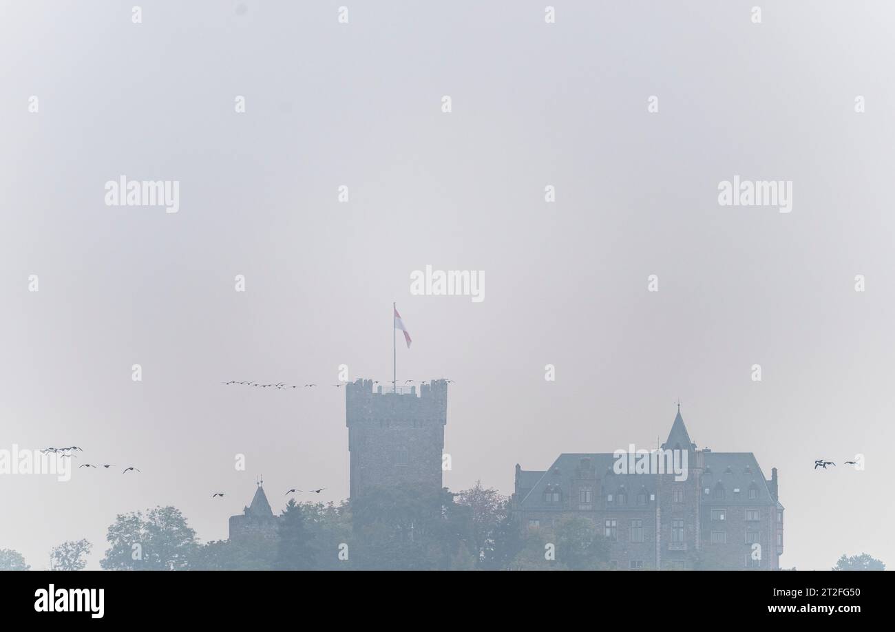 Bingen, Deutschland. Oktober 2023. Vögel kommen an der historischen Burganlage „Burg Klopp“ vorbei. Darlegung: Andreas Arnold/dpa/Alamy Live News Stockfoto
