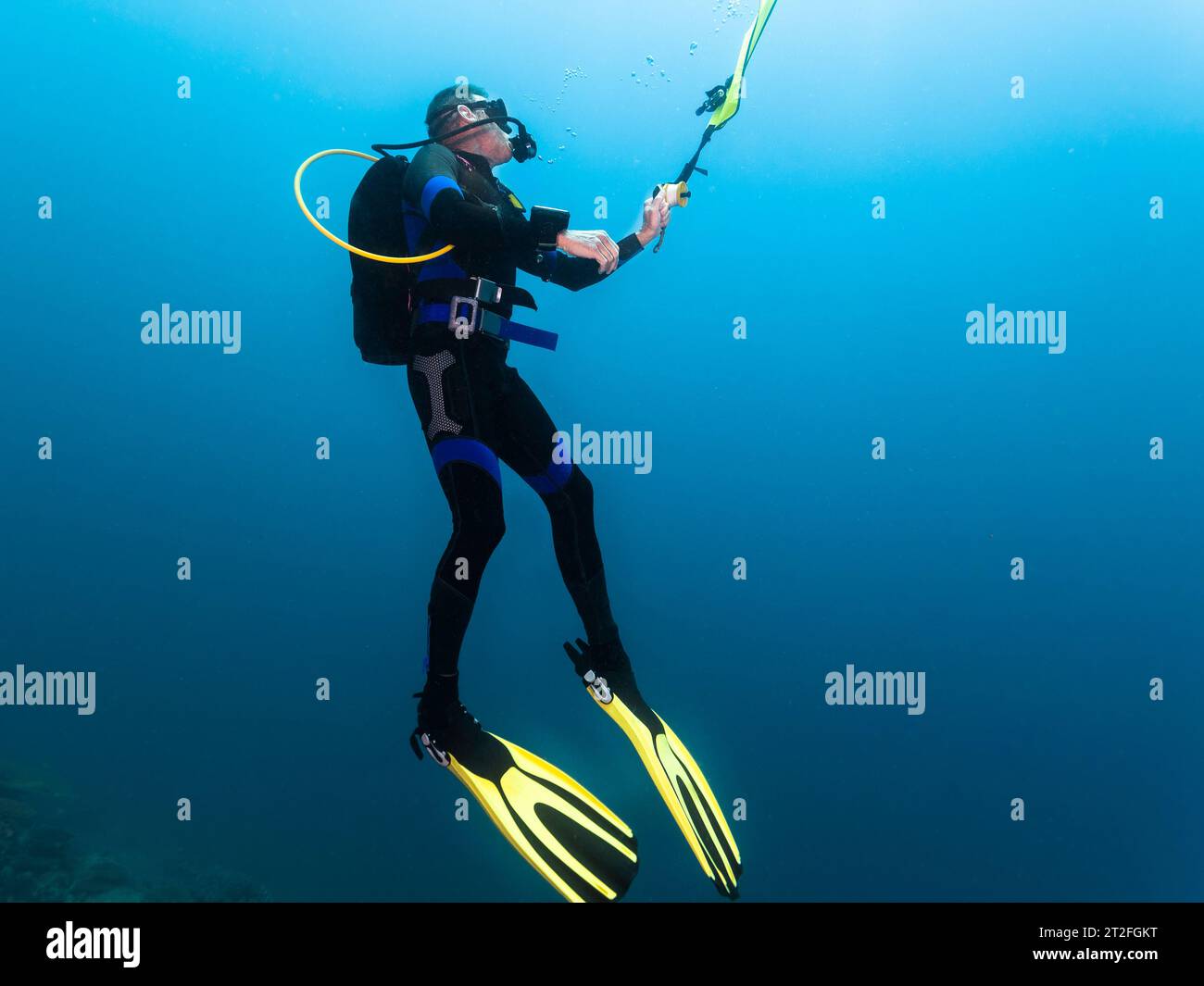 Männlicher Taucher unter Wasser hängt im Blau und setzt seine DSMB-Boje an die Oberfläche Stockfoto