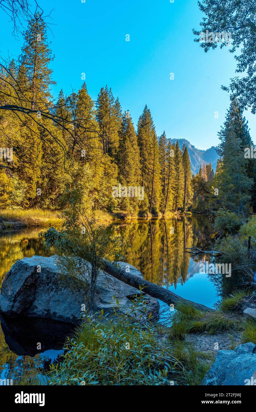 Wunderschöner Spaziergang durch das Yosemite-Tal und die reflektierten Bäume. Kalifornien, Usa Stockfoto