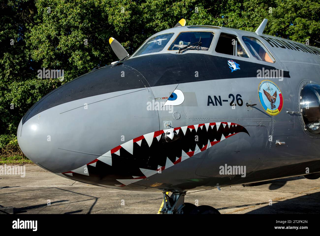 Nasenbild eines Transportflugzeugs der rumänischen Luftwaffe an-26. Stockfoto